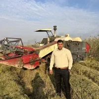 توزیع و پخش برنج ممتاز عنبربو عطری خوزستان در پرند