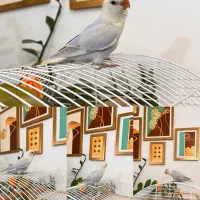 فروش طوطی برزیلی دستی و رام در رنگ‌های متنوع|پرنده|لنگرود, |دیوار