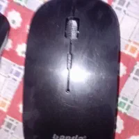 موس باندا