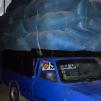 کاه گندم درجه یک