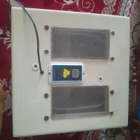 دستگاه جوجه کشی تمام اتوماتیک۴۸تای