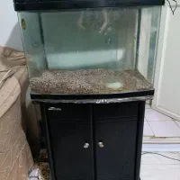 آکواریوم شیشه خم|ماهی|تهران, کاشانک|دیوار