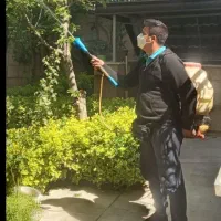 سمپاشی باغبانی  سم پاش هرس کاری