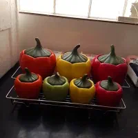 جا ادویه ای مدل فلفل دلمه