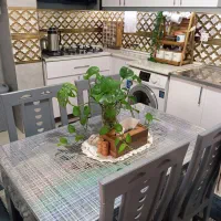 میز نهار خوری ۴نفره|میز و صندلی غذاخوری|قوچان, |دیوار