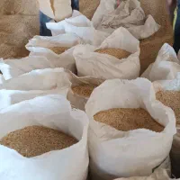 جو درجه یک کیسه گرفته آماده کیلوی ۳۵