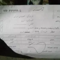 گمشده شده شناسنامه