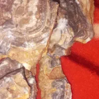 سنگ مرجانی درجه یک|بدلیجات|مشهد, مهدی آباد|دیوار