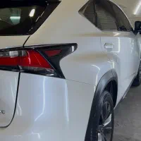 لیسه کاری تخصصی انواع رنگ های متالیک و صدفی