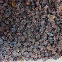 کشمش پلویی|خوردنی و آشامیدنی|تهران, هفت چنار|دیوار