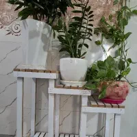 استند گلدان . پایه گلدان