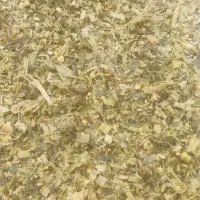 ذرت علوفه پر دان درجه یک