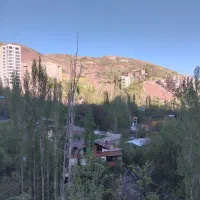 زمین-میگون-با-جواز-سند-زیر-قیمت