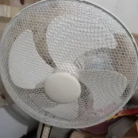 پنکه|پنکه و تصفیه‌کنندهٔ هوا|رشت, دیانتی|دیوار