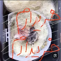 جوجه قناری . سهره