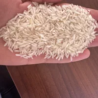 همه نوع برنج محلی موجود داریم