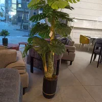 گل خارجی قابل شستشو|گل مصنوعی|سنندج, |دیوار