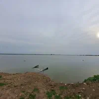 فروش زمین شالیزار مرغوب