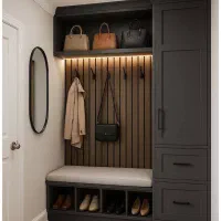 جاکفشی و ورودی