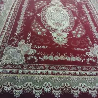 قالی 12متری|فرش|سنندج, |دیوار