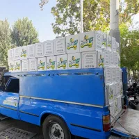 پخش تخم مرغ قیمت درب کارخانه