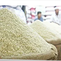 برنج کالیکش مینودشت
