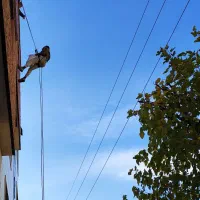 مهار سنگ نما اب بندی راپل عایق پیچ رولپلاک شستشوی|خدمات پیشه و مهارت|سیاهکل, |دیوار