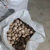 گردو محلی پر چرب|خوردنی و آشامیدنی|نمشیر, |دیوار