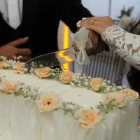 فراخوان مدل عکاسی عقد و بله برون