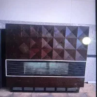 بخاری سالم و قویی