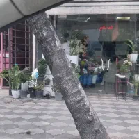 مغازه-17-متری-و22متری-و29-متری-و120-متری