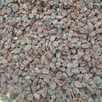 کشمش آفتابی درجه یک