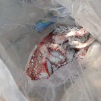 گوشت تازه  بوقلمون