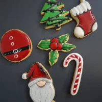 کوکی های آیسینگ طرح دار و ساده واقتصادی