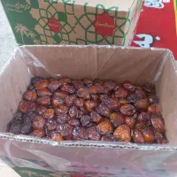 فروش خرما خاصویی