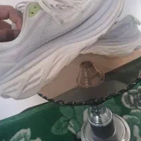 کفش|کیف، کفش، کمربند|میاندوآب, |دیوار