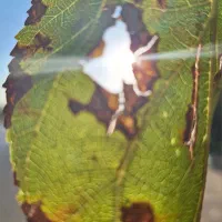 تدریس خصوصی علوم تجربی متوسطه اول