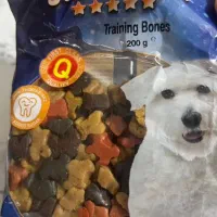 سگ پامر عروسکی|سگ|اندیشه, اندیشه فاز ۲|دیوار