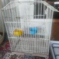 قفس پرنده