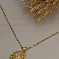 پلاک خورشیدی