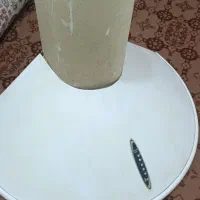 هود