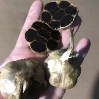 سیر سیاه همدان