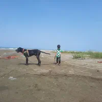 سگم.گم.شده ردر کلاراباد
