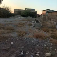 املاک دامداری 49راسی 5000متر|فروش دفتر صنعتی، کشاورزی، تجاری|دشتابی, |دیوار