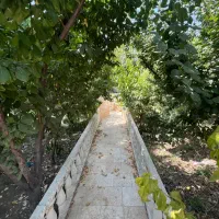 400-متر-باغ-چهار-دیواری-در-خیابان-رضوان