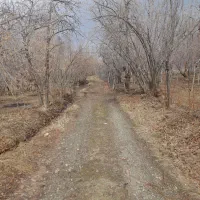 زمین-کشاورزی