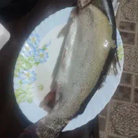 ماهی قزل الا