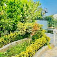 ویلا دوبلکس سند ۶ دانگ پایانکار جواز / آمل ب نور|فروش خانه و ویلا|هچیرود, |دیوار