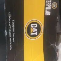 cat|کیف، کفش، کمربند|فورگ, |دیوار