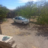 تیبا ۱